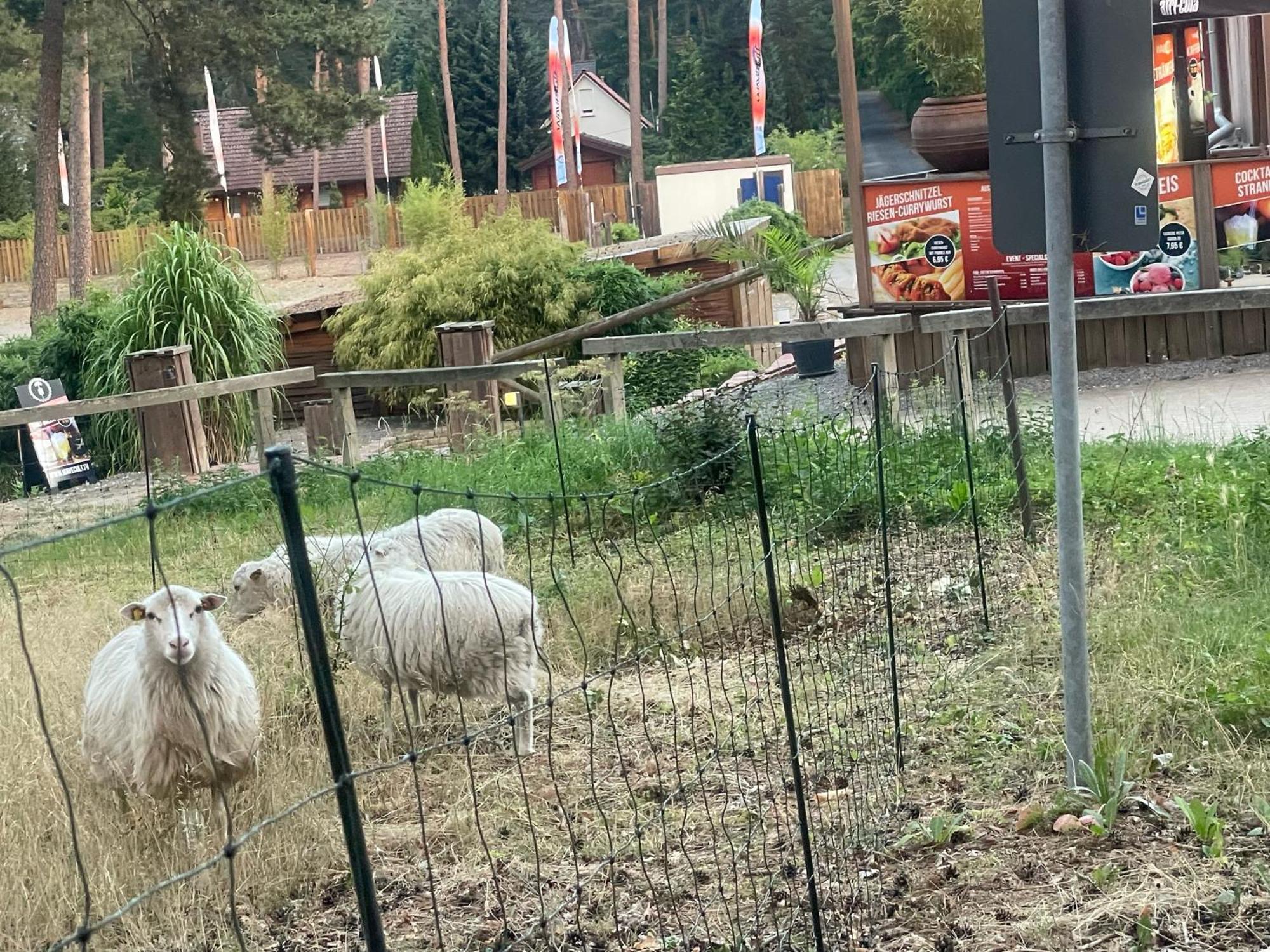 Strandhotel Weisser Berg Neustadt am Rubenberge Bagian luar foto